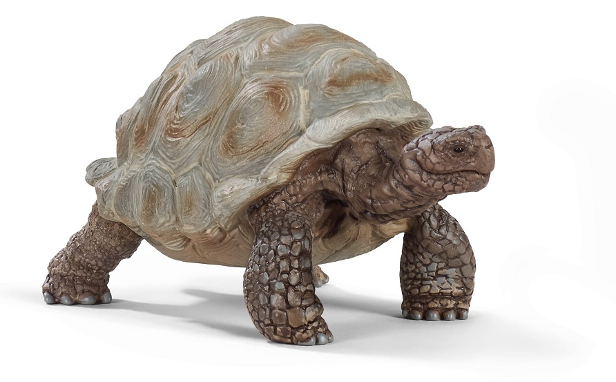 Іграшка-фігурка Schleich Гігантська черепаха