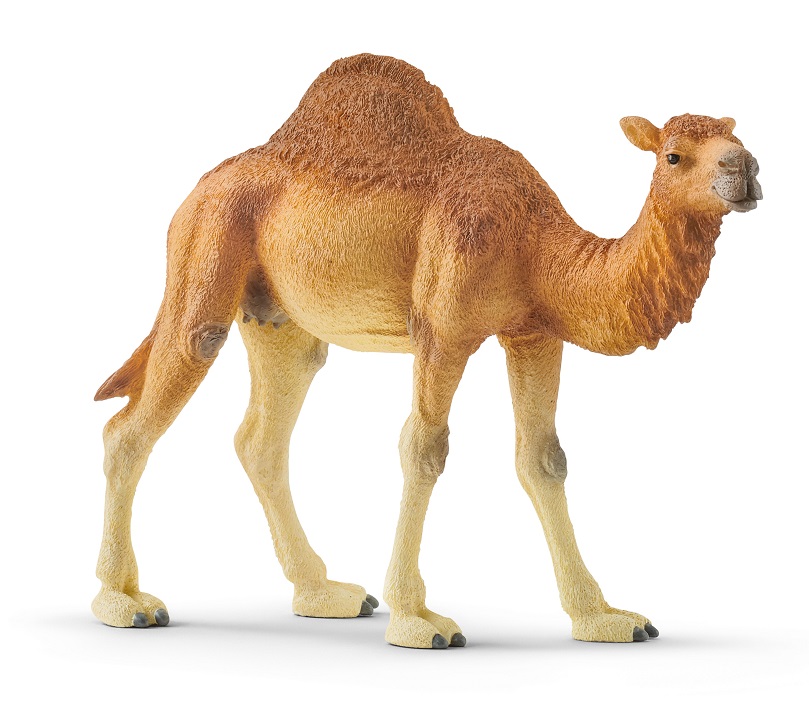Іграшка-фігурка Schleich Дромедар