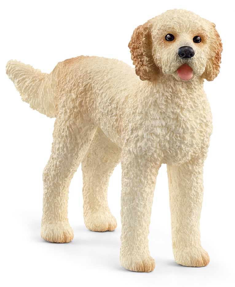 Іграшка-фігурка Schleich  Золотий пудель
