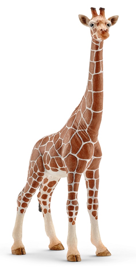 Іграшка-фігурка Schleich Жирафа самка