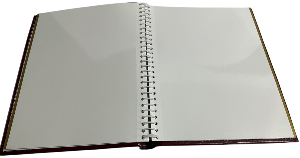Альбом UFO 20sheet S22x32 Bird