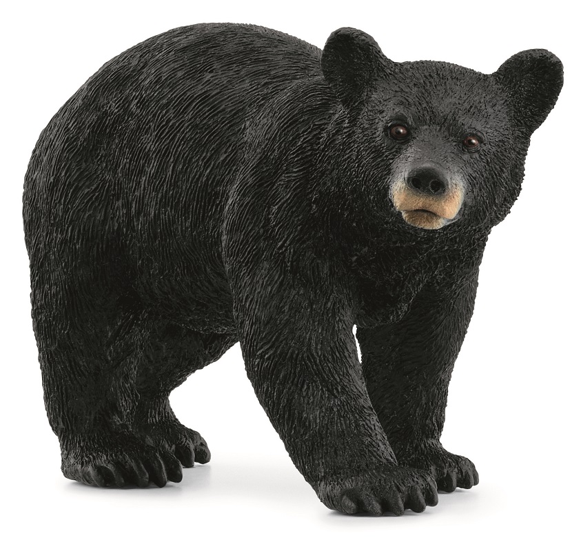 Іграшка-фігурка Schleich Американський чорний ведмідь