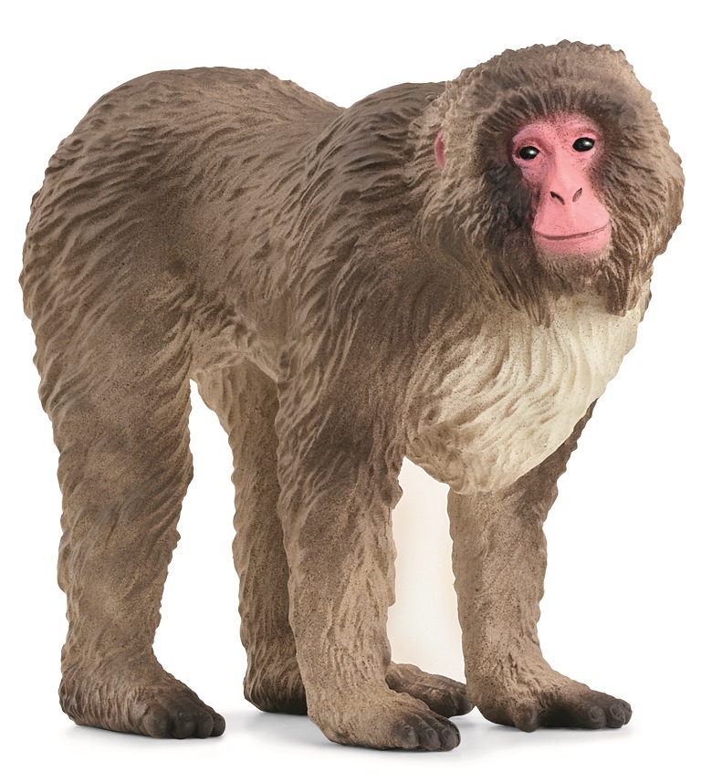 Іграшка-фігурка Schleich Японська макака