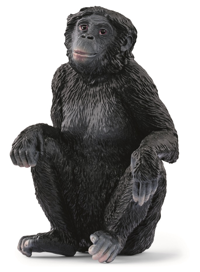 Іграшка-фігурка Schleich Бонобо самка