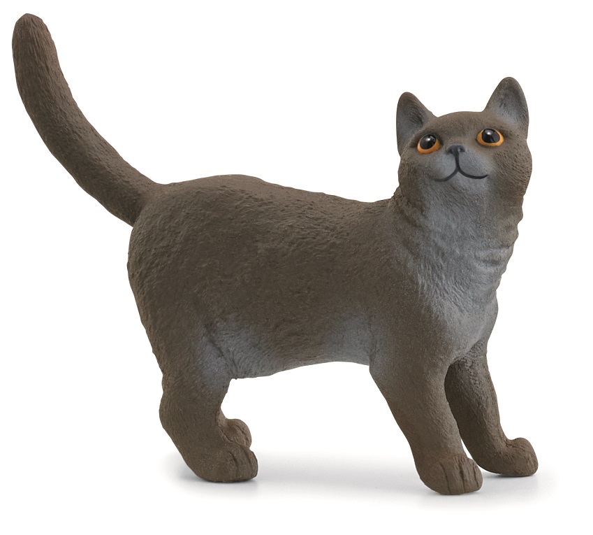 Іграшка-фігурка Schleich Британська короткошерста кішка