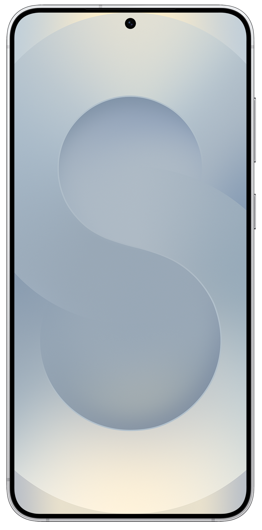 Смартфон Samsung Galaxy S25 12/512Gb ZSH Silver Shadow (7082535)