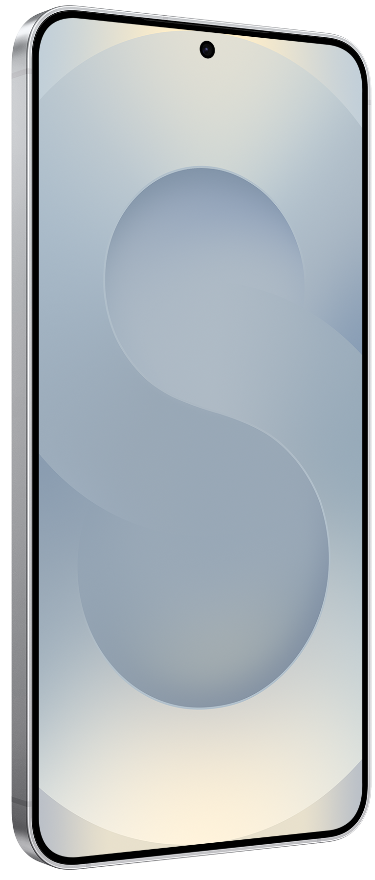 Смартфон Samsung Galaxy S25 12/512Gb ZSH Silver Shadow (7082535)