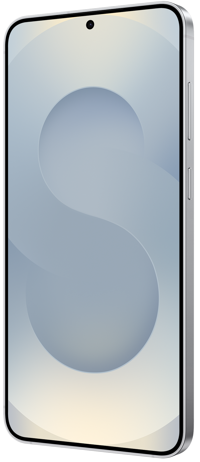 Смартфон Samsung Galaxy S25 12/512Gb ZSH Silver Shadow (7082535)