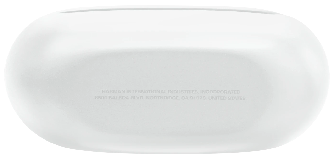 Гарнітура JBL Endurance Race 2 White (JBLENDURACE2WHT)  (7106528)