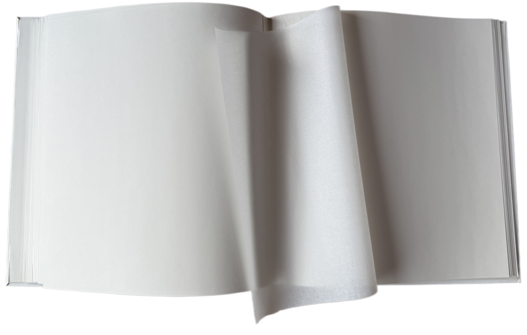 Альбом EVG 20sheet T29x32 Sring Twig