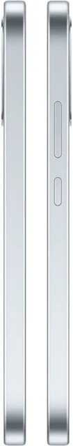 Смартфон OPPO A6 PRO 4G 8/256GB Lunar Titanium (7193732)