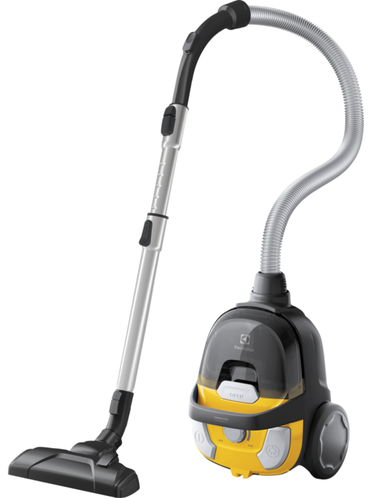 Пилосос Electrolux ECGC21-2Y