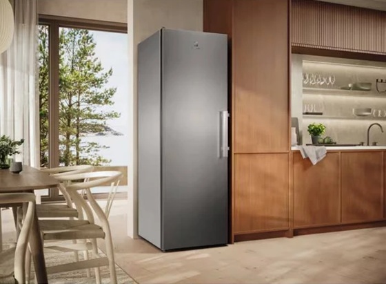 Морозильна камера ELECTROLUX LUS7ME28X