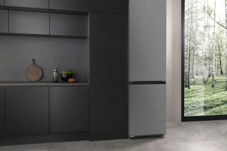 Холодильник HISENSE RB5P410SACC (HZF4168AED)
