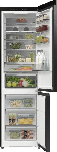Холодильник HISENSE RB5P410SBFC (HZF4168AFD)