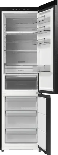 Холодильник HISENSE RB5P410SBFC (HZF4168AFD)