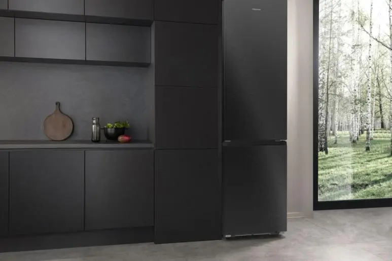 Холодильник HISENSE RB5P410SBFC (HZF4168AFD)