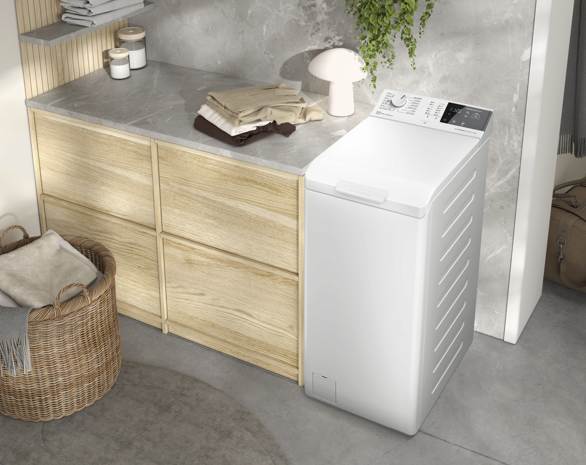 Пральна машина автоматична Electrolux EW6T206U (7311652)