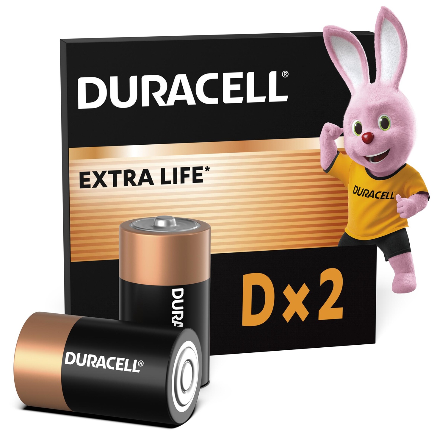 Батарейка DURACELL D/ LR20 /MN1300 KPN 02*10